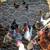 Laying hens and roosters 1 thumbnail