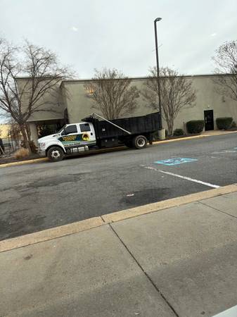 Tree and stump removal 1