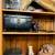 Antique Silent Film Feeder - +++ 14 thumbnail