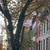 Upper East Side Studio Apartment First Floor! 4 thumbnail