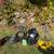 💥 Westinghouse 4400 PSI Pressure Washer Bundle - $1000 (Like New!)💥 6 thumbnail