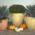 Glass Fiber Reinforced Concrete Planters 5 thumbnail