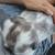 2 female 3 month old holland lop rabbits 4 thumbnail