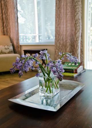 $2,500 / 2br - Astoria , Queens 1 Bed 1 Bath (Astoria , Queens)63854385415041123