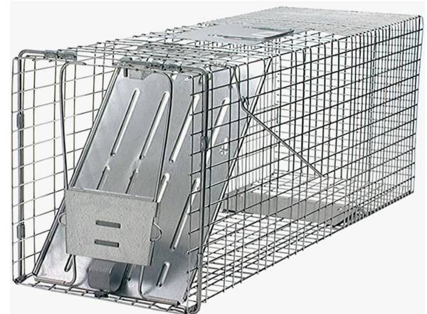 New Large Animal Trap 1
