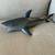 18” inch Shark & Other sharks 3 thumbnail