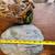 Aquarium ornaments 3 thumbnail