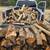 Firewood Delivered / Stacked or Wood Yard Pickup !! REFER A FRIEND 15 thumbnail