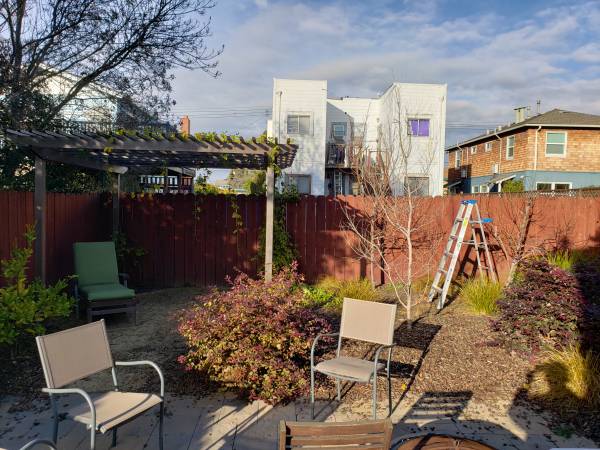 $2,000 / 1br - 1200ft2 - Hermoso Victorian In-Law con Amplio Patio Soleado - A 1 Cuadra de Bart (oakland north / temescal)63667941536771120