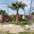 Tree service and Yard clean ups at the BEST price! Monthly specials!!! 6 thumbnail