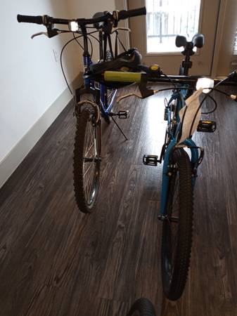 🔥 NEW YEAR 2026 CLEARANCE — YOU MAKE THE BID 🔥 Santa Missed the Mark 1