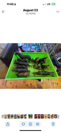 Collection of dog figurines 1