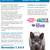 FREE Spay/Neuter for Cats Nov 7-9! 1 thumbnail
