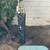 Payless Landscape & Irrigation Services LLC 5 thumbnail