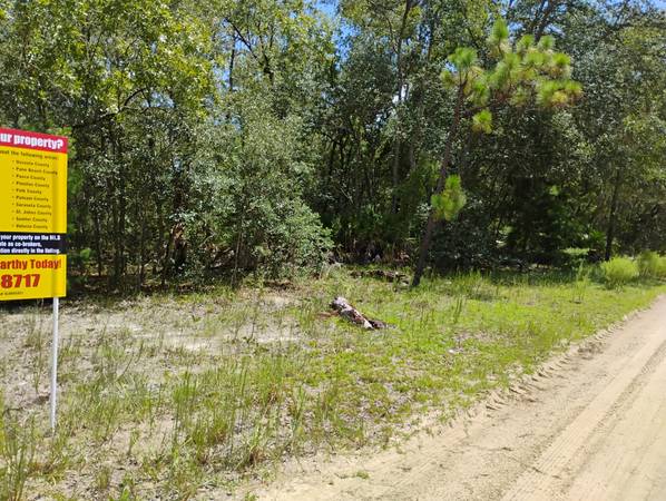 $7,500 / 10019ft2 - Nice Buildable lot in Interlachen (Interlachen)63823025878659122