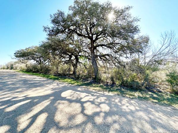LAND FOR SALE WITH NO RESTRICTION 5 ACRE 1