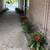 Office space available in Pleasanton Cedarwood complex on Santa Rita 4 thumbnail