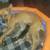 Looking for help from a rescue for mama dog and puppies! 1 thumbnail