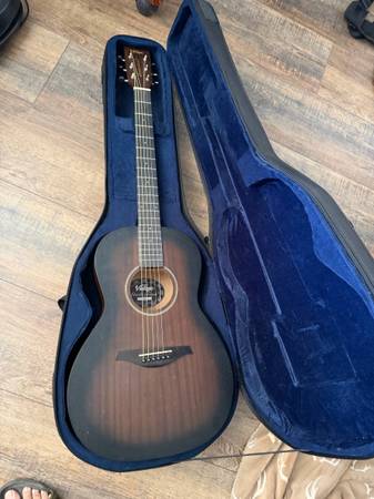 Guitar & Case 1