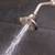 Speakman S-3011-BN-E2 Chelsea Anystream Adjustable 2.0 GPM Shower Head 4 thumbnail