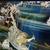Picture, Japanese Art 2 thumbnail