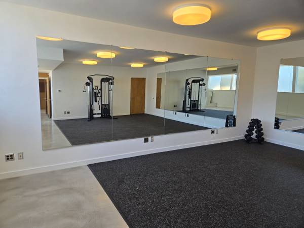 Gym Mirror Studio Mirror 1