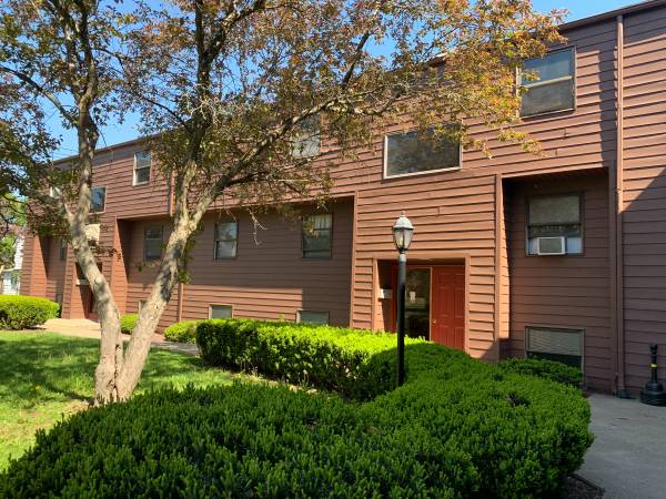 $800 / 1br - 800ft2 - 1BR with Balcony Endicott Municipal Electric Area (Endicott)64035576011777121