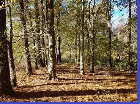 $425,000 The canvas to paint your future residence in Perquimans County!64033800601731122