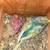 Parakeets $40 and up for a pair whit a cage and nest incluide 1 thumbnail