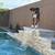 Boxer dog 1 thumbnail