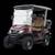 ⛳⛳2025 EVOLUTION Golf Carts in STOCK **READY FOR DELIVERY**⛳⛳ 19 thumbnail