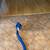 ⭐️⭐️⭐️⭐️  BEST CARPET CLEANING. 5 STARS/YELP**100% Satisfaction! 17 thumbnail
