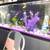 125 gallon aquarium with all accessories 1 thumbnail