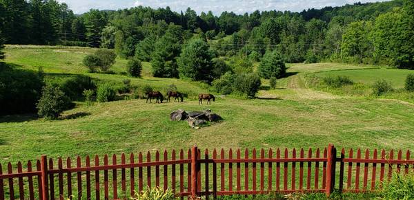 $1,500 / 2br - 1200ft2 - Private home on 10 acres (Hardwick)63784663257345123
