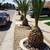 Landscaping Services 10 thumbnail