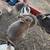 Holland Lop and Netherland Dwarf Rabbits 13 thumbnail