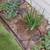 HECTOR LANDSCAPING 🌵TREE🌳PALM🌴SERVICE GARDENING🌱MAINTENANCE🌿 13 thumbnail