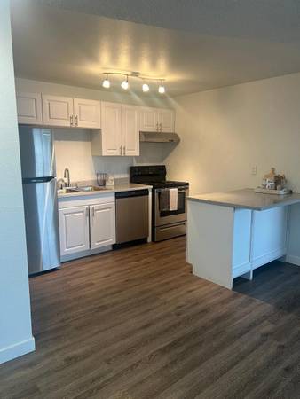 $1,100 / 575ft2 - Visita Hoy, Nuevas Cocinas con Lavavajillas, Ahora Disponible, Pisos Estilo Madera63669172732161120