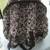 *** VERA BRADLEY Backpack/Laptop15" bag. Plum Floral Petals.  AS NEW * 3 thumbnail