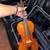 Full size violin 2 thumbnail