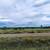 Concho Valley, AZ 1/4 Acre Lots /w utilities 5 thumbnail