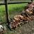 Split Wood For Sale 3 thumbnail