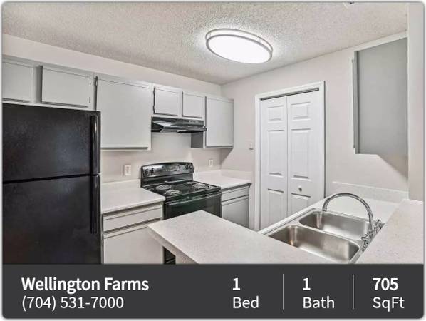 $1,155 / 1br - 705ft2 - Stylish spaces, vibrant community: Your new life starts here! (Charlotte)63925335024259121