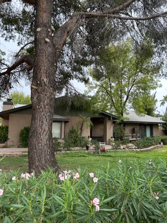$900 / 1br - 130ft2 - SHARE HOUSE HORSES TOO! (N E PHOENIX 56TH ST & THUNDERBIRD)64024998141441120