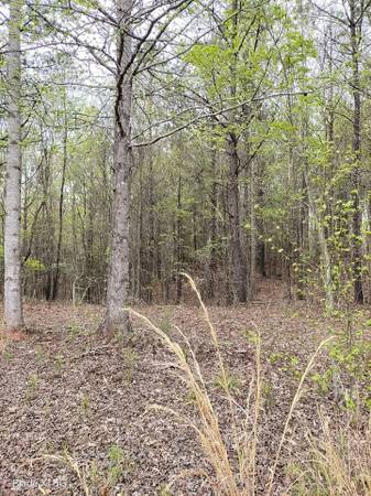 $94,050 10.45ac -Last One-$5000 Down-Owner Finance or Lease Purchase (Goodwater, AL)63736160926851123