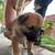 PUPS    GS / Mix 2 thumbnail
