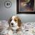Cocker Spaniel 1 thumbnail