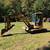 2005 cat 304cr 1 thumbnail