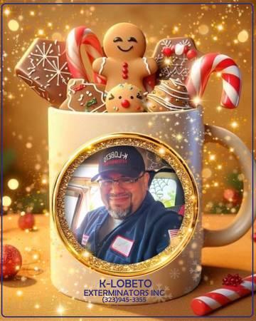 PEST CONTROL SERVICES 2026 1