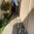 4 Bedrooms 3 Bath house for Rent 19 thumbnail